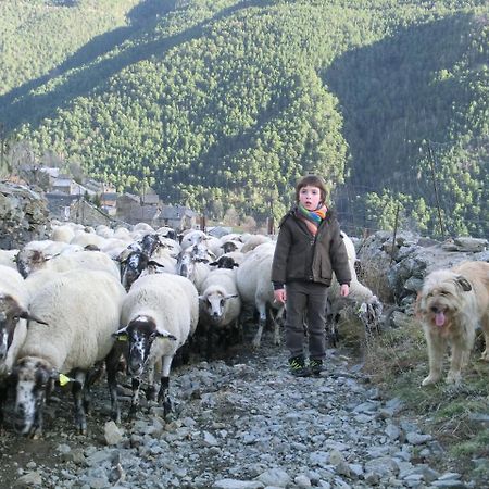 Allotjament Taga Ribes De Freser Luaran gambar