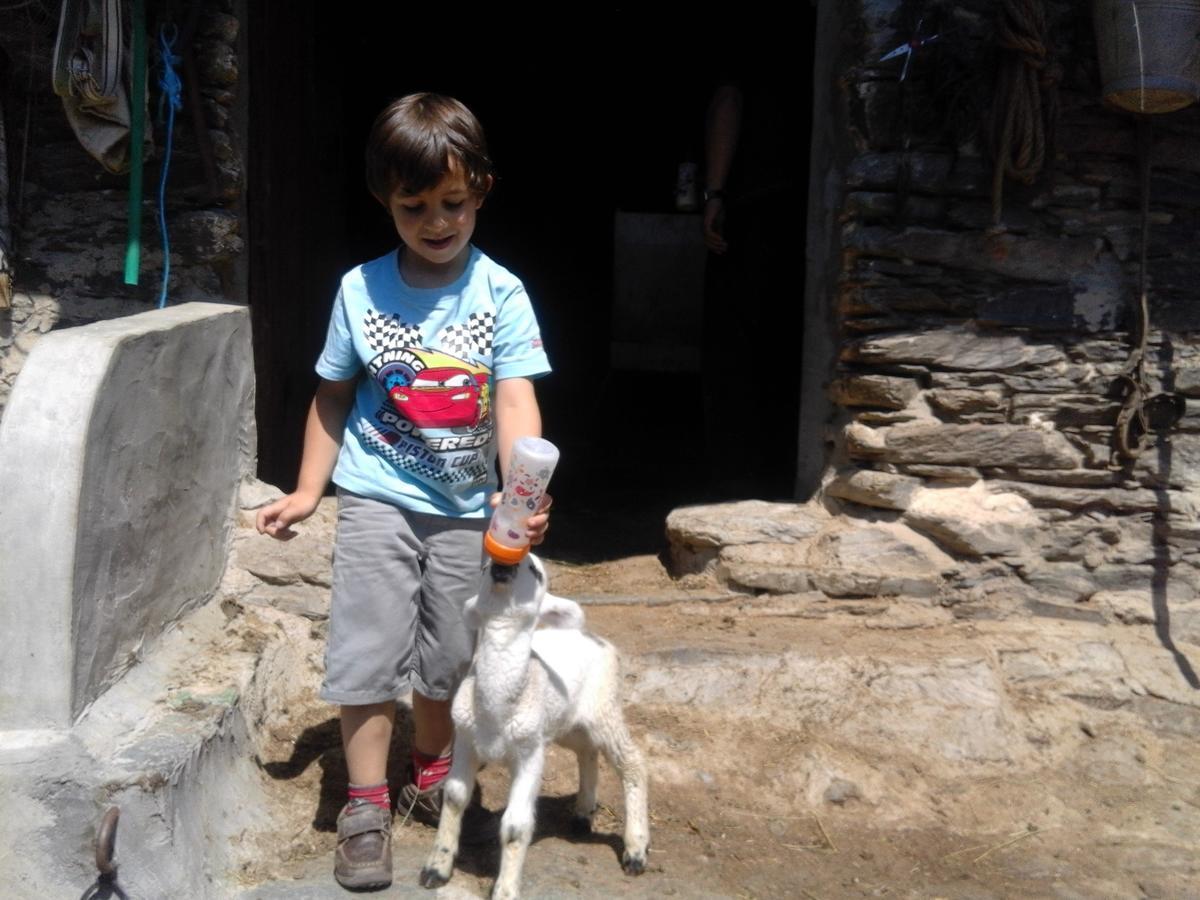 Allotjament Taga Ribes De Freser Luaran gambar