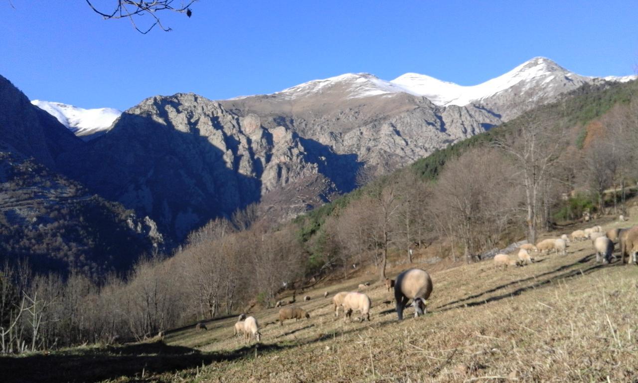 Allotjament Taga Ribes De Freser Luaran gambar
