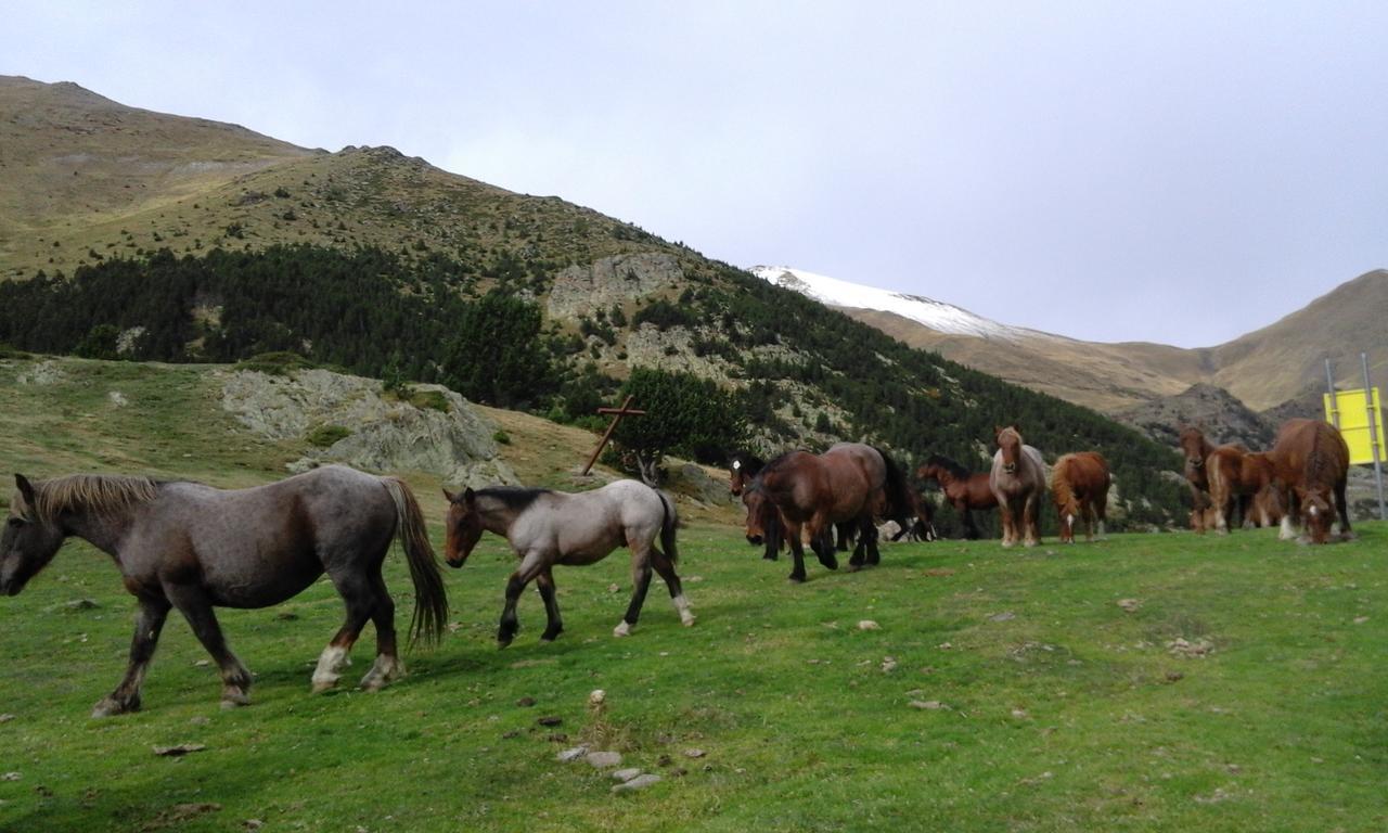 Allotjament Taga Ribes De Freser Luaran gambar